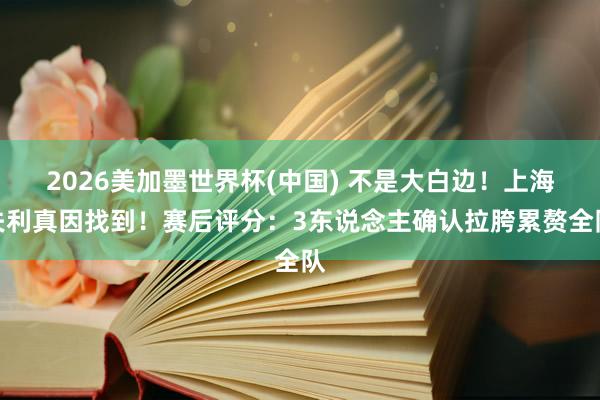 2026美加墨世界杯(中国) 不是大白边！上海失利真因找到！赛后评分：3东说念主确认拉胯累赘全队