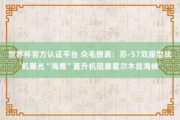 世界杯官方认证平台 众毛攒裘：苏-57双座型战机曝光“海鹰”直升机阻塞霍尔木兹海峡