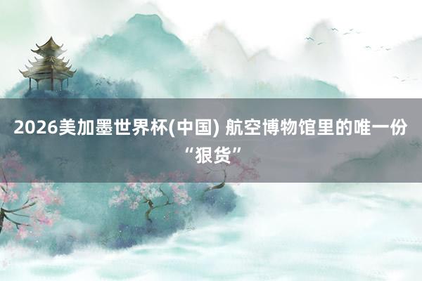 2026美加墨世界杯(中国) 航空博物馆里的唯一份“狠货”