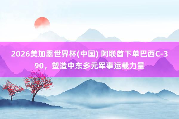 2026美加墨世界杯(中国) 阿联酋下单巴西C-390，塑造中东多元军事运载力量