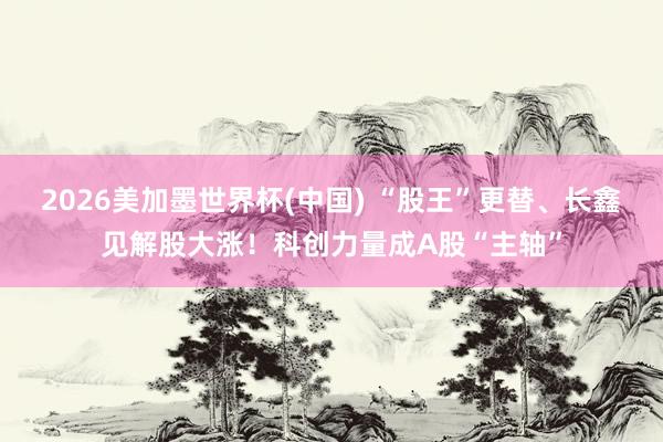 2026美加墨世界杯(中国) “股王”更替、长鑫见解股大涨！科创力量成A股“主轴”