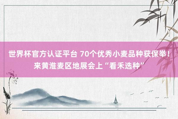 世界杯官方认证平台 70个优秀小麦品种获保举！来黄淮麦区地展会上“看禾选种”