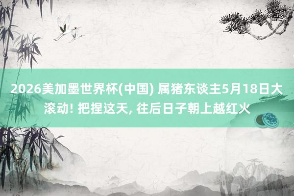 2026美加墨世界杯(中国) 属猪东谈主5月18日大滚动! 把捏这天， 往后日子朝上越红火