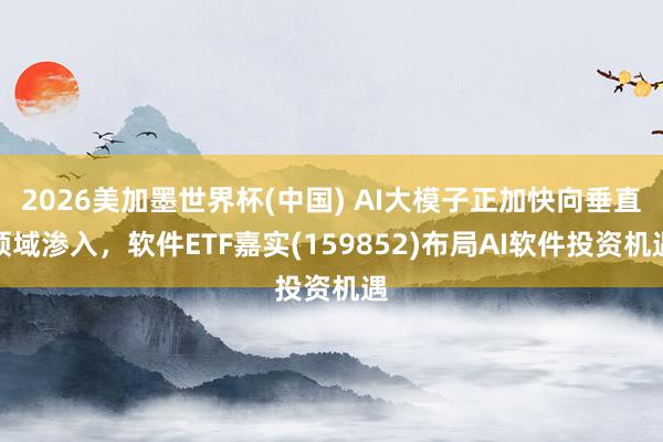 2026美加墨世界杯(中国) AI大模子正加快向垂直领域渗入，软件ETF嘉实(159852)布局AI软件投资机遇