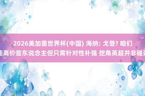 2026美加墨世界杯(中国) 海纳: 戈登? 咱们能高价签东说念主但只需针对性补强 挖角英超并非碰劲