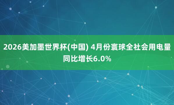 2026美加墨世界杯(中国) 4月份寰球全社会用电量同比增长6.0%