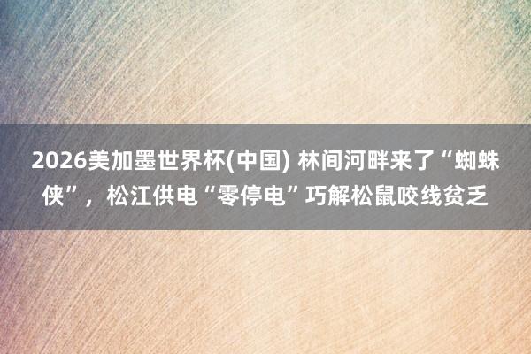 2026美加墨世界杯(中国) 林间河畔来了“蜘蛛侠”，松江供电“零停电”巧解松鼠咬线贫乏