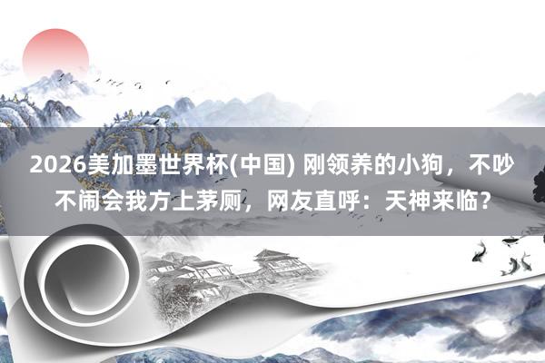 2026美加墨世界杯(中国) 刚领养的小狗，不吵不闹会我方上茅厕，网友直呼：天神来临？