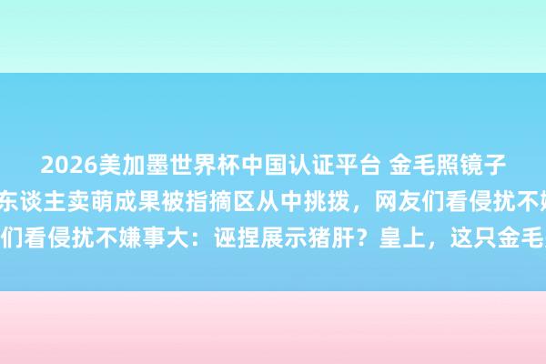 2026美加墨世界杯中国认证平台 金毛照镜子解锁新心计，振奋朝主东谈主卖萌成果被指摘区从中挑拨，网友们看侵扰不嫌事大：诬捏展示猪肝？皇上，这只金毛是在耍你啊…