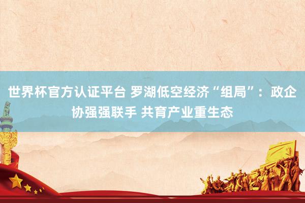 世界杯官方认证平台 罗湖低空经济“组局”：政企协强强联手 共育产业重生态