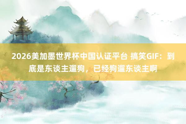 2026美加墨世界杯中国认证平台 搞笑GIF：到底是东谈主遛狗，已经狗遛东谈主啊