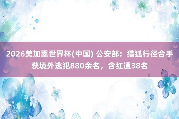 2026美加墨世界杯(中国) 公安部：猎狐行径合手获境外逃犯880余名，含红通38名