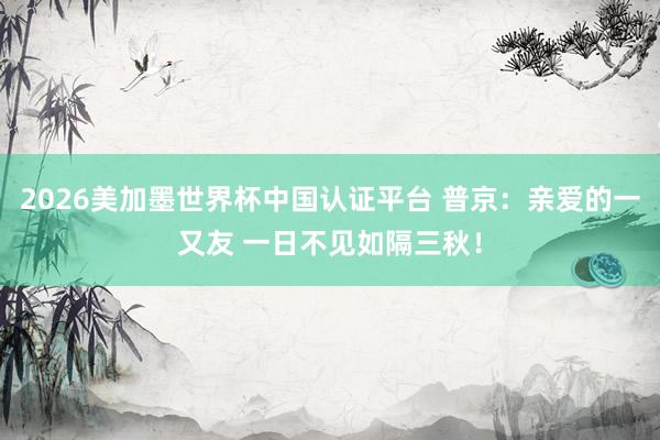 2026美加墨世界杯中国认证平台 普京：亲爱的一又友 一日不见如隔三秋！
