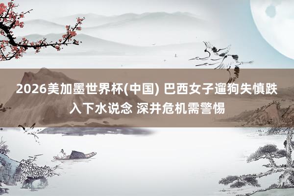 2026美加墨世界杯(中国) 巴西女子遛狗失慎跌入下水说念 深井危机需警惕