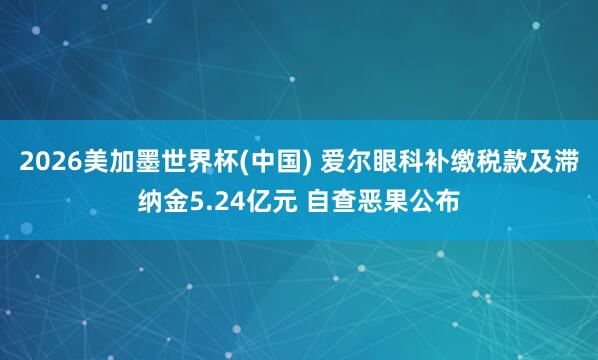 2026美加墨世界杯(中国) 爱尔眼科补缴税款及滞纳金5.24亿元 自查恶果公布