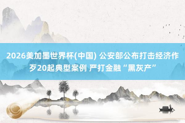 2026美加墨世界杯(中国) 公安部公布打击经济作歹20起典型案例 严打金融“黑灰产”