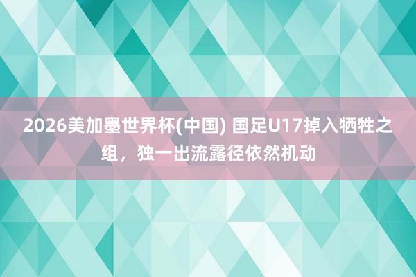2026美加墨世界杯(中国) 国足U17掉入牺牲之组，独一出流露径依然机动