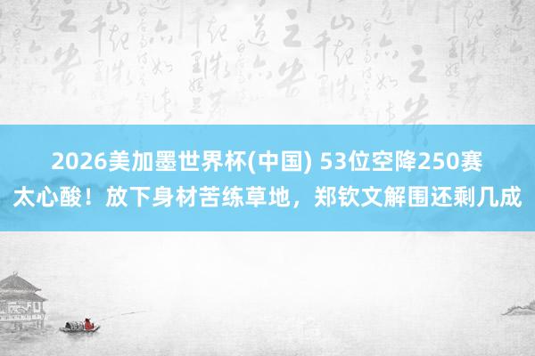 2026美加墨世界杯(中国) 53位空降250赛太心酸！放下身材苦练草地，郑钦文解围还剩几成