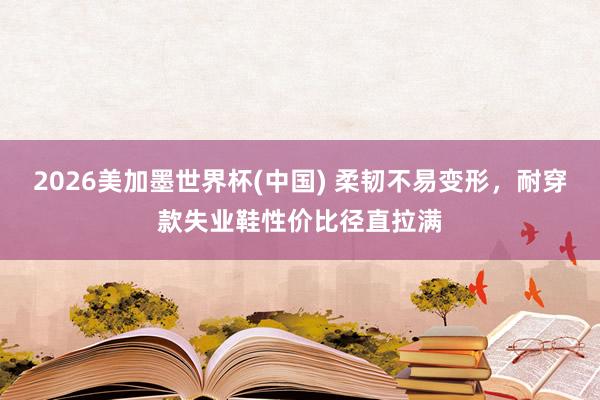 2026美加墨世界杯(中国) 柔韧不易变形，耐穿款失业鞋性价比径直拉满