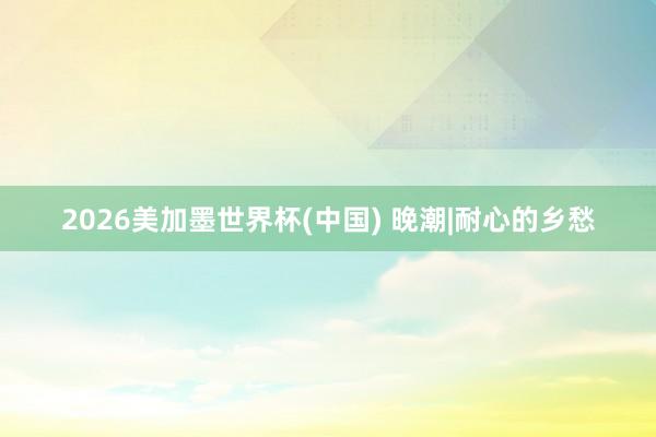 2026美加墨世界杯(中国) 晚潮|耐心的乡愁