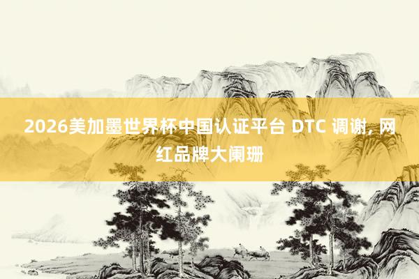 2026美加墨世界杯中国认证平台 DTC 调谢， 网红品牌大阑珊