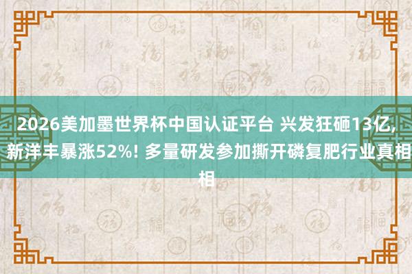 2026美加墨世界杯中国认证平台 兴发狂砸13亿， 新洋丰暴涨52%! 多量研发参加撕开磷复肥行业真相