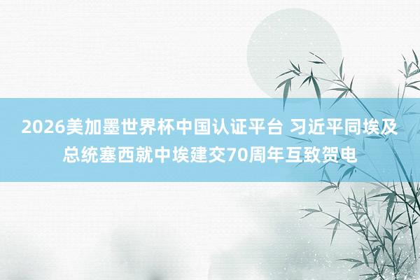 2026美加墨世界杯中国认证平台 习近平同埃及总统塞西就中埃建交70周年互致贺电
