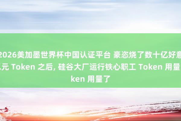2026美加墨世界杯中国认证平台 豪恣烧了数十亿好意思元 Token 之后, 硅