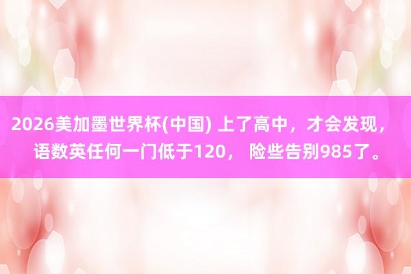 2026美加墨世界杯(中国) 上了高中，才会发现， 语数英任何一门低于120， 险些告别985了。