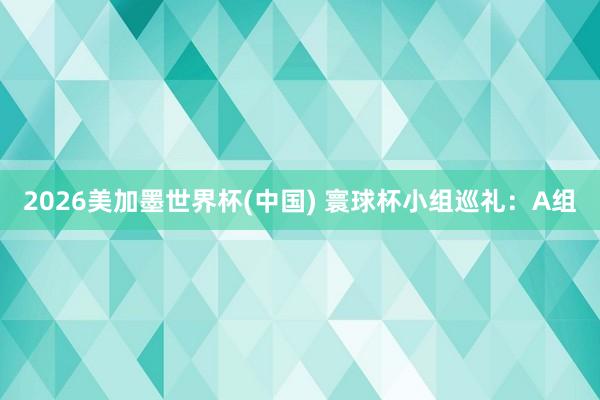 2026美加墨世界杯(中国) 寰球杯小组巡礼：A组