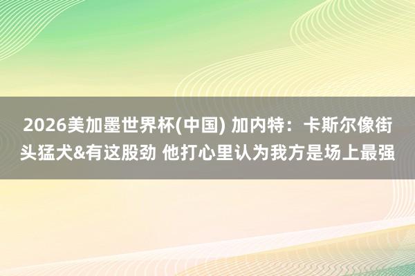 2026美加墨世界杯(中国) 加内特：卡斯尔像街头猛犬&有这股劲 他打心里认为我方是场上最强