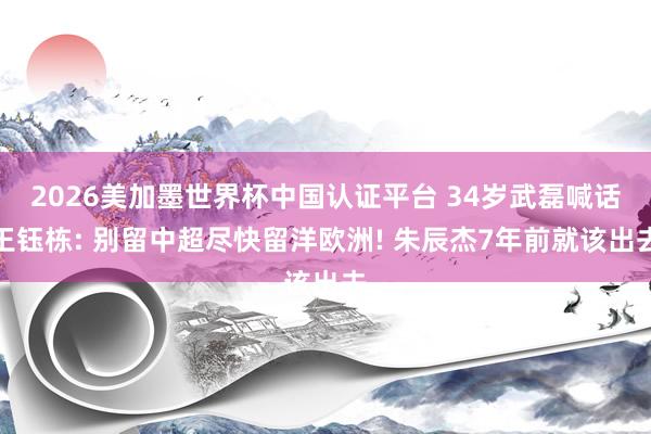2026美加墨世界杯中国认证平台 34岁武磊喊话王钰栋: 别留中超尽快留洋欧洲! 朱辰杰7年前就该出去