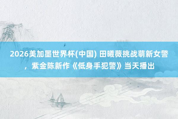 2026美加墨世界杯(中国) 田曦薇挑战萌新女警，紫金陈新作《低身手犯警》当天播出