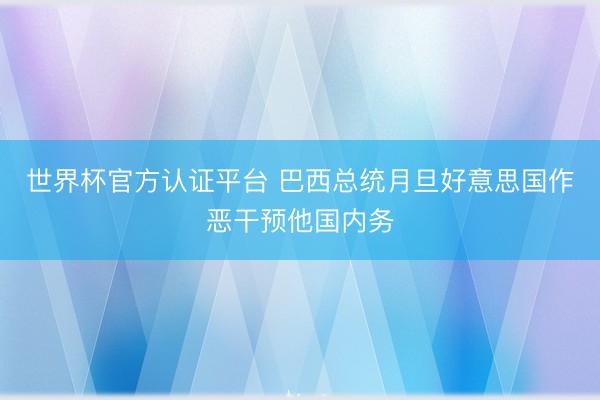 世界杯官方认证平台 巴西总统月旦好意思国作恶干预他国内务