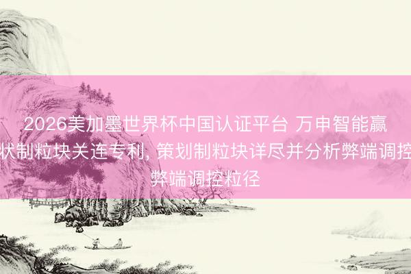 2026美加墨世界杯中国认证平台 万申智能赢得盘状制粒块关连专利, 策划制粒块详尽并分析弊端调控粒径