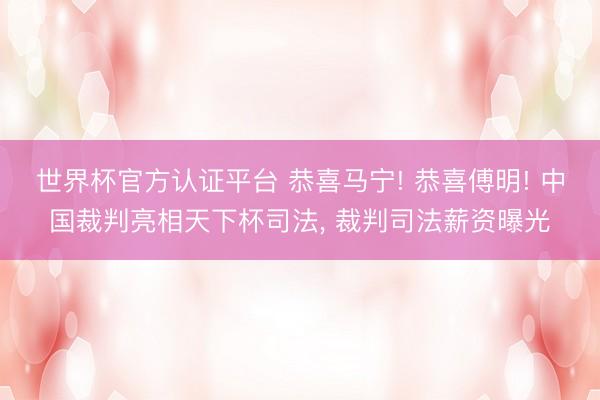世界杯官方认证平台 恭喜马宁! 恭喜傅明! 中国裁判亮相天下杯司法, 裁判司法薪资曝光